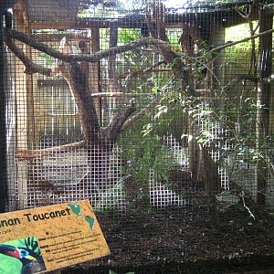 PBZ - Misc. animal exhibits