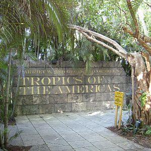PBZ - Tropics of the Americas