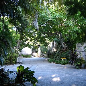 PBZ - Tropics of the Americas