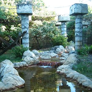 PBZ - Tropics of the Americas