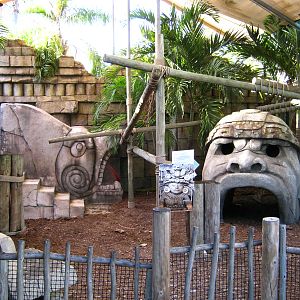 PBZ - Tropics of the Americas