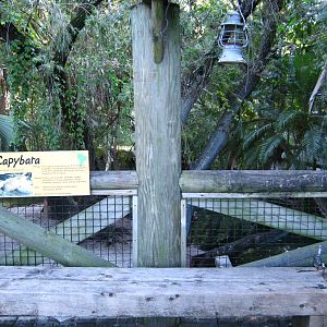 PBZ - Tropics of the Americas