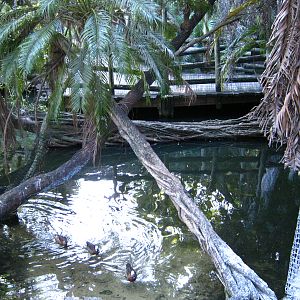 PBZ - Tropics of the Americas