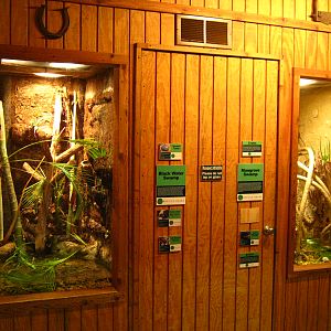 PBZ - Florida Wetlands