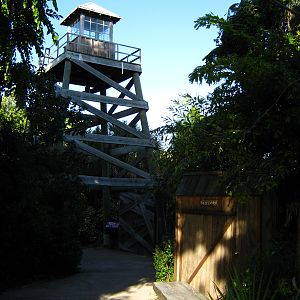 PBZ - Florida Wetlands