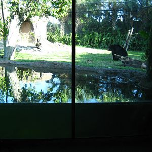 PBZ - Florida Wetlands