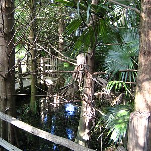 PBZ - Florida Wetlands