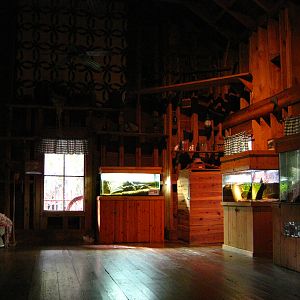 PBZ - Florida Wetlands