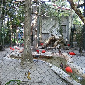 PBZ - Florida Wetlands