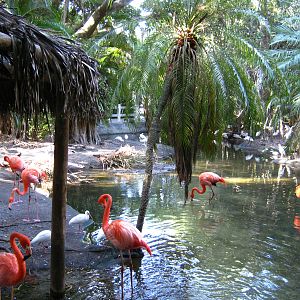 PBZ - Florida Wetlands