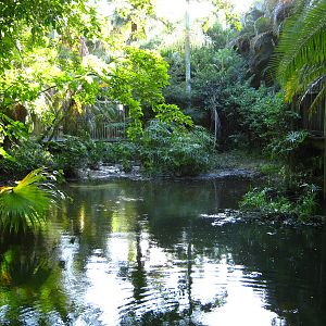 PBZ - Florida Wetlands