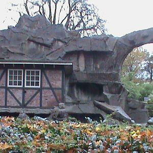 Alpine ibex enclosure 061110