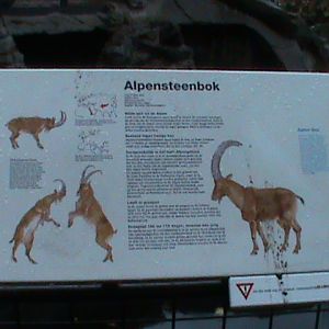 signage example 061110