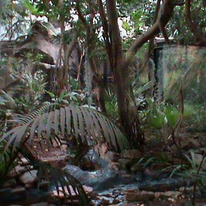 Enclosure from Small Mammal House 061110