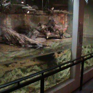 Otter enclosure 061110