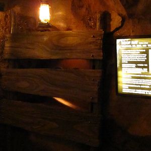 Naracoorte Cave - Roof Rat exhibit