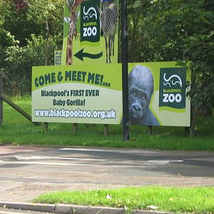 Blackpool Zoo Sign.
