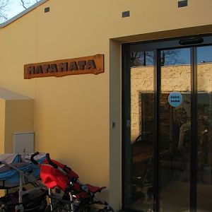 Tropical house Matamata