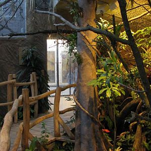 Tropical house Matamata