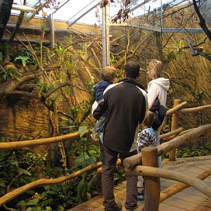 Tropical house Matamata