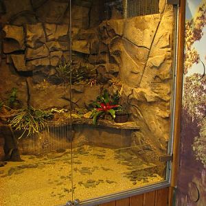 Tropical house Matamata