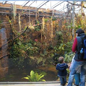 Tropical house Matamata