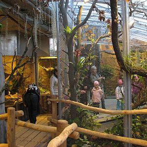 Tropical house Matamata