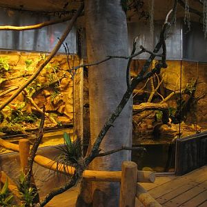 Tropical house Matamata