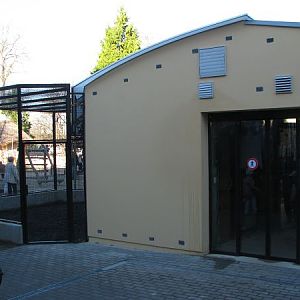 Tropical house Matamata