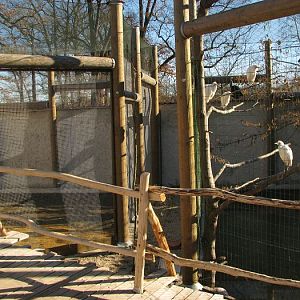 Small African area under construction