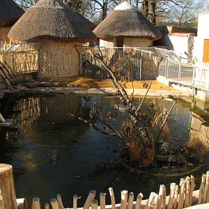 Small African area under construction