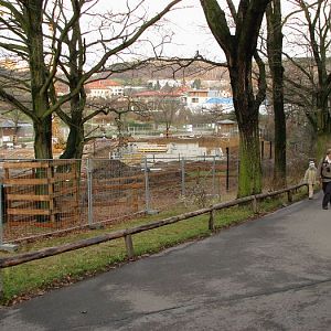 Construction area for new hippo house
