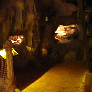 Naracoorte Cave - Exhibits