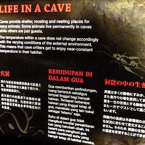 Naracoorte Cave - Signage