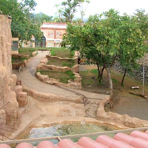 Tiger Exhibit at Jungle Park (Las Aguilas), 13/11/10