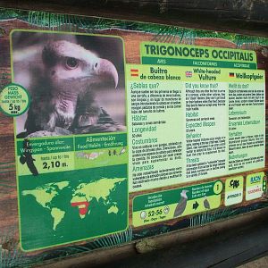 Signage Example at Jungle Park (Las Aguilas), 13/11/10