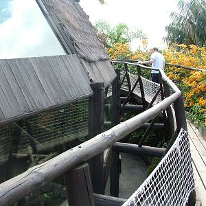 Primate Viewing Walkway at Jungle Park (Las Aguilas), 13/11/10