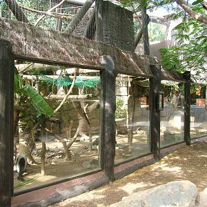 Lemur Exhibit at Jungle Park (Las Aguilas), 13/11/10