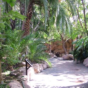 General View at Jungle Park (Las Aguilas), 13/11/10