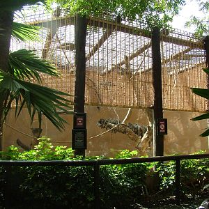 Chimpanzee Exhibit at Jungle Park (Las Aguilas), 13/11/10