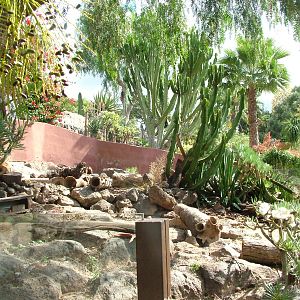Meerkat Exhibit at Jungle Park (Las Aguilas), 13/11/10
