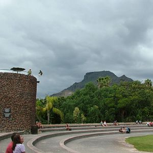 Bird Show at Jungle Park (Las Aguilas), 13/11/10