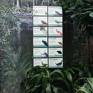 Aquatic Room Species Signs