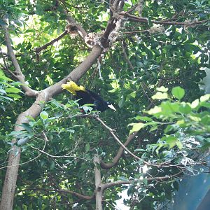 Aquatic Room - waiting to relieve himself