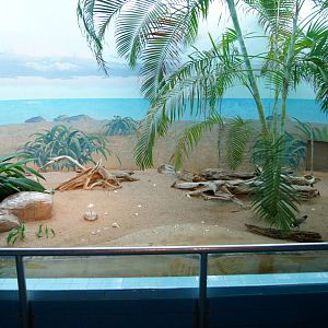 Along The Coast Exhibit