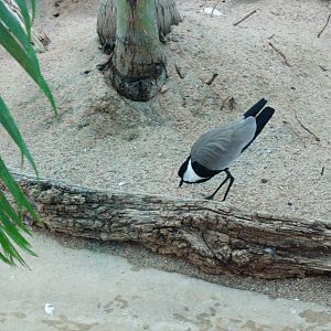 Along The Coast Exhibit