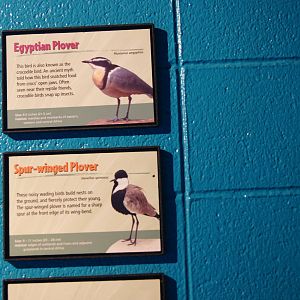 Along The Coast Species Signs