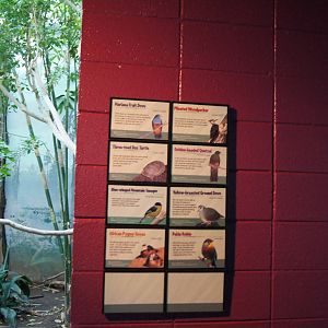 Deep in a Swamp species Signs