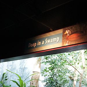 Deep in a Swamp Sign