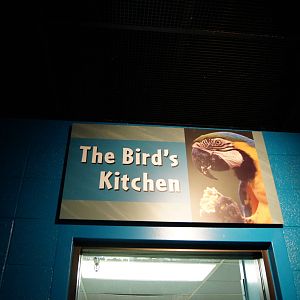The Bird's Kitchen